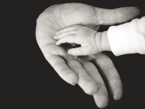 Childs small hand in parents hand