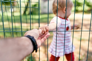 Father’s Rights
